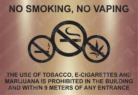 No Smoking, No Vaping, Within 9 Meters of Any Entrance 8" x 5.5"