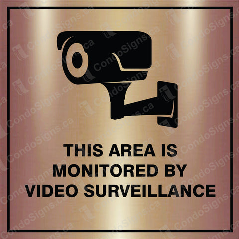 This Area is Monitored by Video Surveillance (6" x 6")