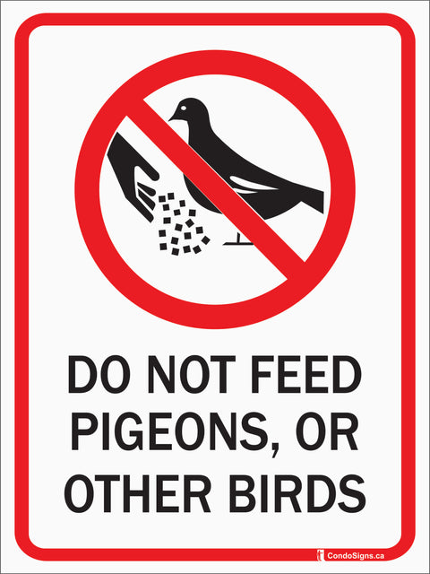Do Not Feed the Pigeons on Aluminum