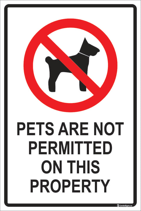 Pets are Not Permitted on this Property