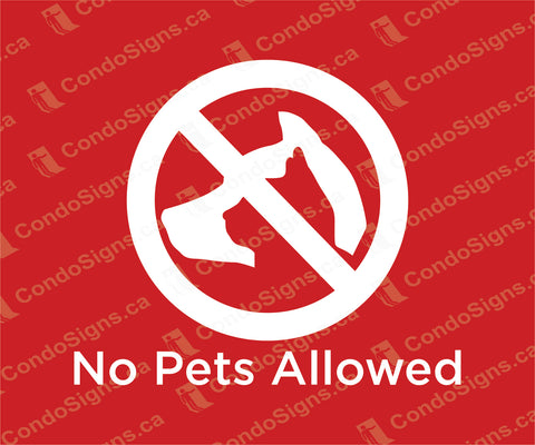 No Pets Allowed (6" x 5")